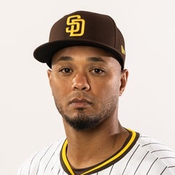 Martin Maldonado headshot