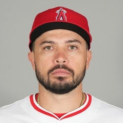 Travis d'Arnaud