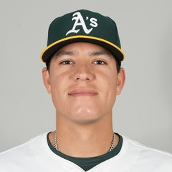 Anthony Maldonado