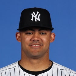 Jasson Dominguez headshot