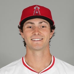 Bryce Teodosio