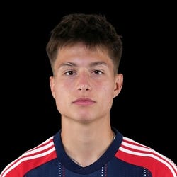 Esmir Bajraktarevic