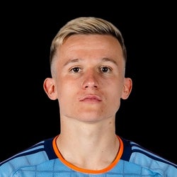Mitja Ilenic