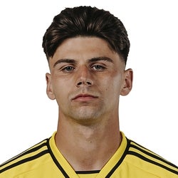 Max Arfsten