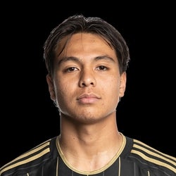Adrian Wibowo