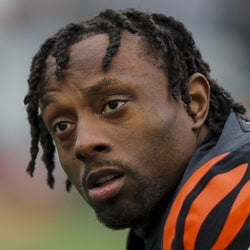 Eli Apple