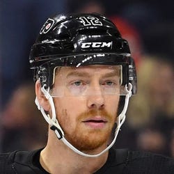 Michael Raffl