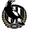 Collingwood Magpies