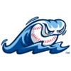 Detroit Tigers A+