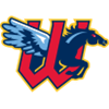 Minnesota Twins AA