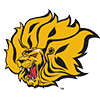 Arkansas-Pine Bluff