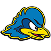 Delaware Fightin' Blue Hens