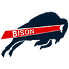 Howard Bison