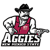 New Mexico State