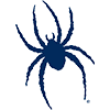 Richmond Spiders