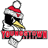 Youngstown State Penguins