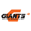 Nelson Mandela Bay Giants