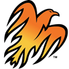 Wellington Firebirds