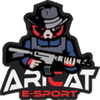 Aricat e-Sport