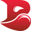 Bleed Esports