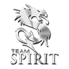 Team Spirit