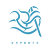 ROA Esport