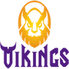 Vikings Esports