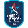 Anadolu Efes Istanbul