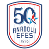 Anadolu Efes Istanbul