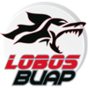 Lobos BUAP