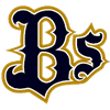 Orix Buffaloes